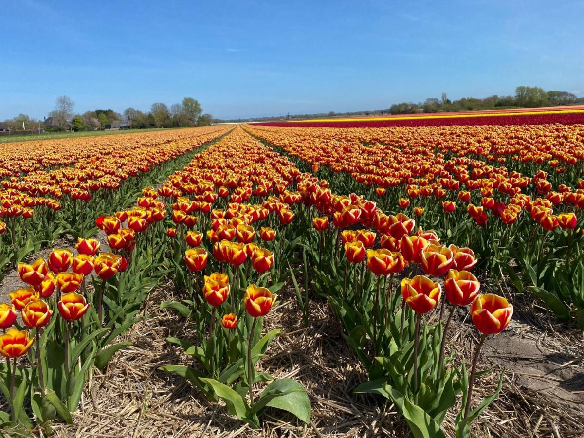 Zandrijk Egmond aan den Hoef Bagian luar foto